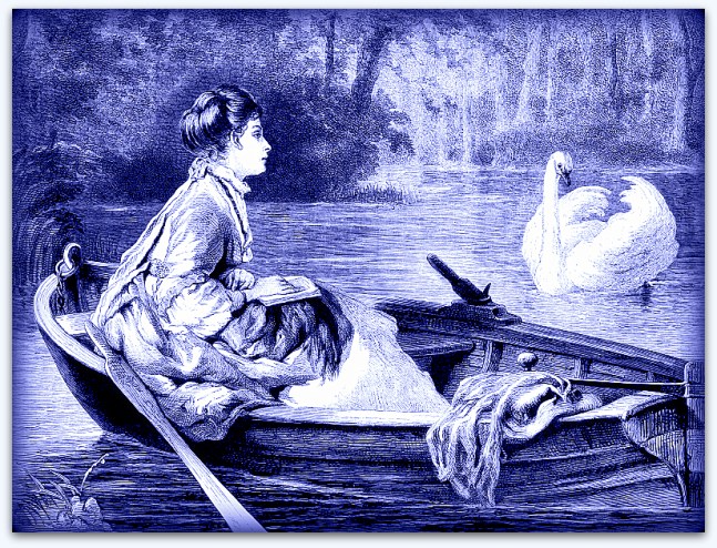 swanboat