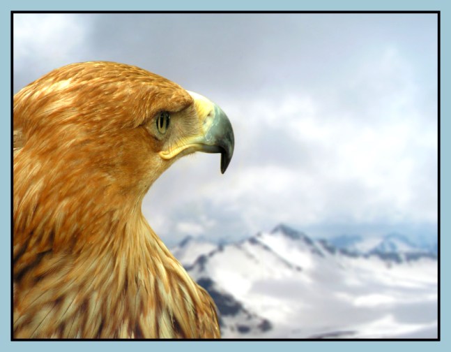 Given birth to be free